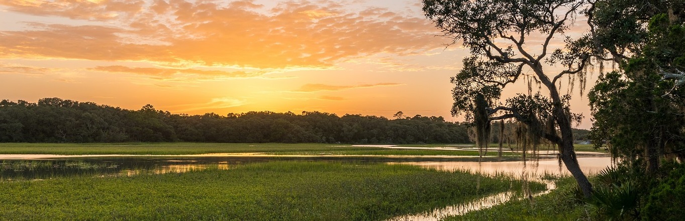 A field with trees and a body of water in the background.