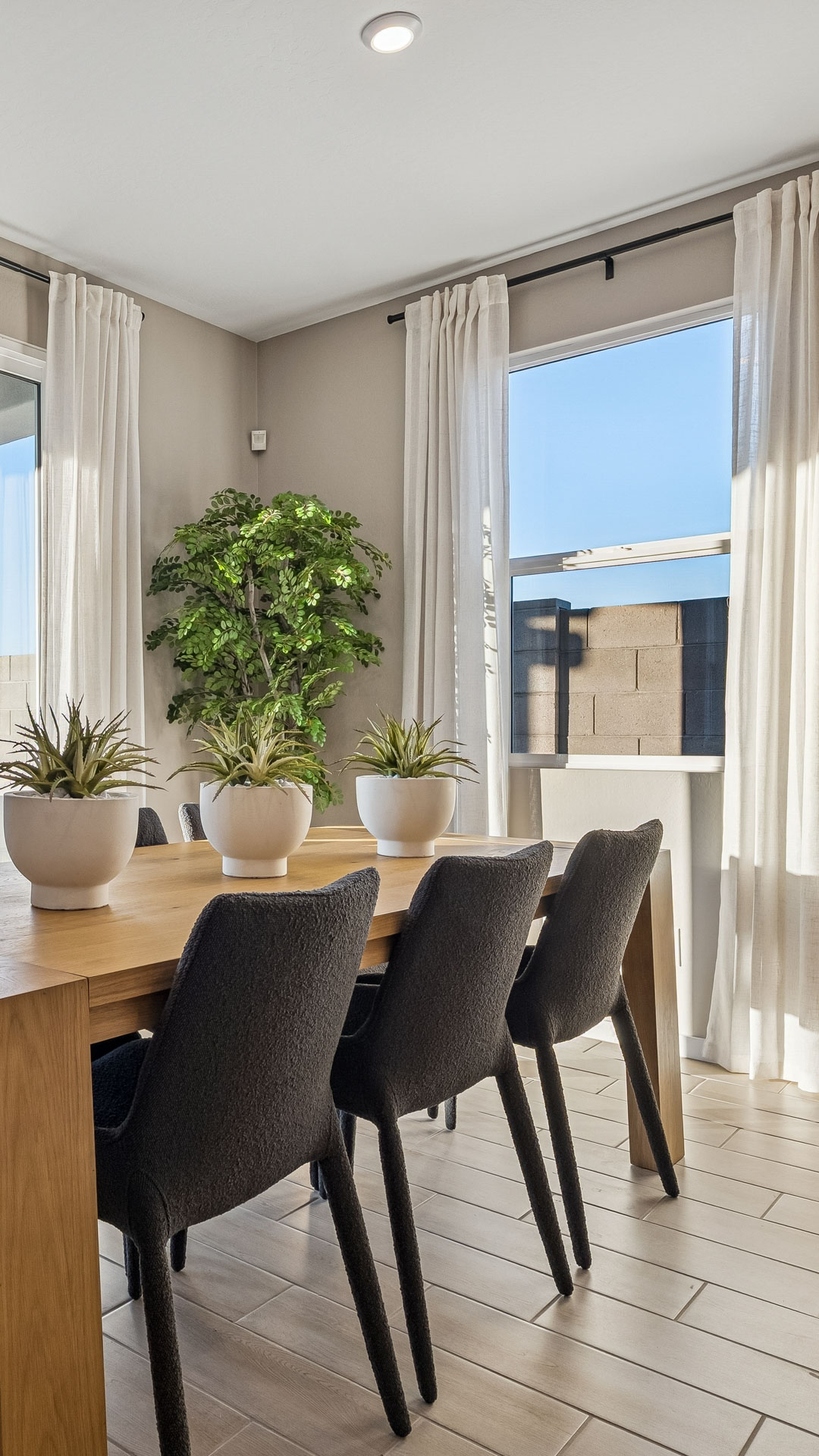 Champlain Model home in Willow at Teravalis dining room with editorial accents plants, floor to ceiling curtains, wood table and double tone paint in model home in Buckeye AZ New Homes for sale and new construction in buckeye AZ.