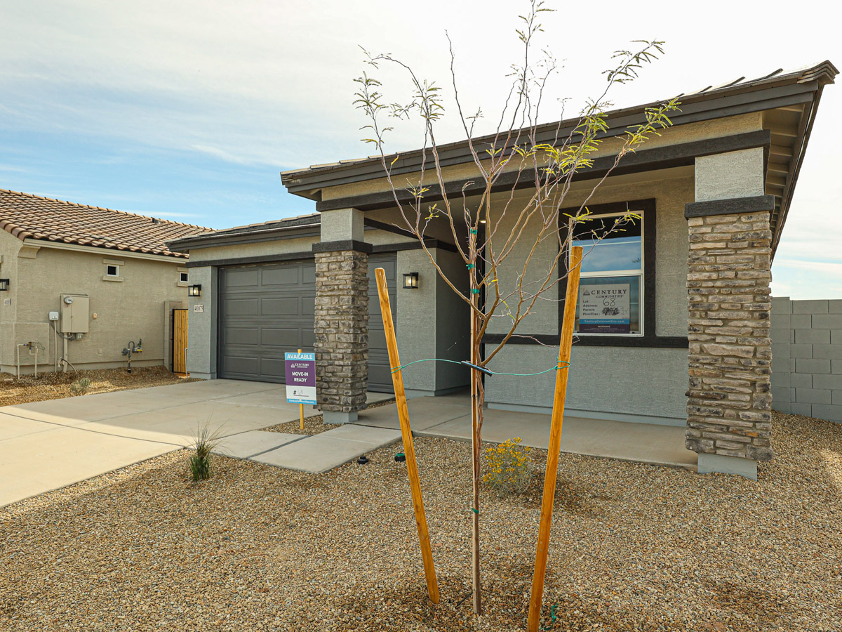 A tree in front of a building.