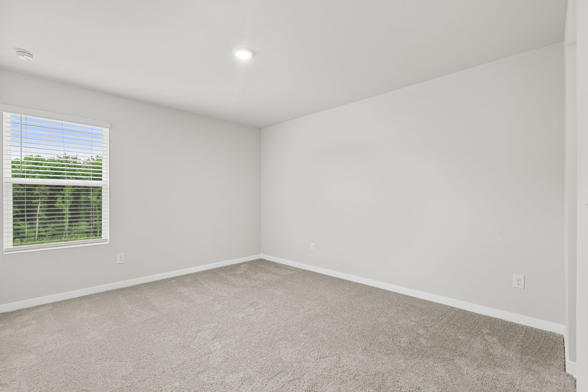A room with a window and a carpet.