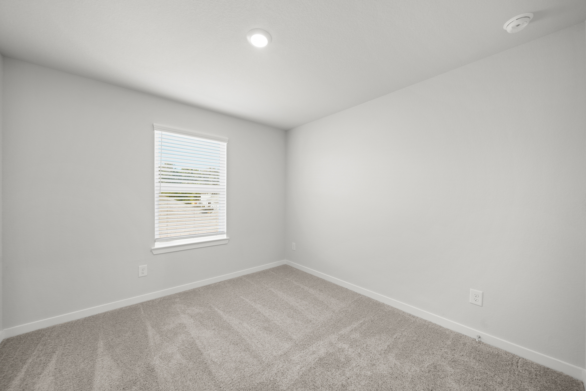 A room with a carpet and a window.