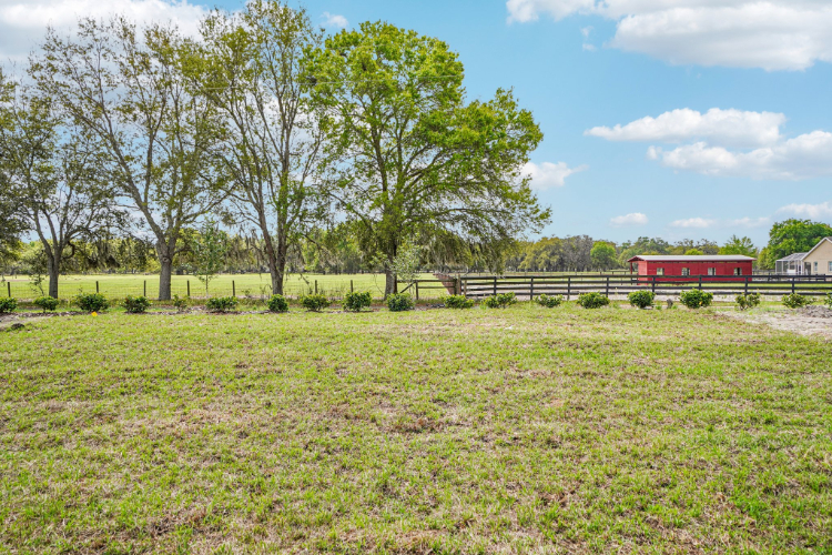 A field with trees and a fence.