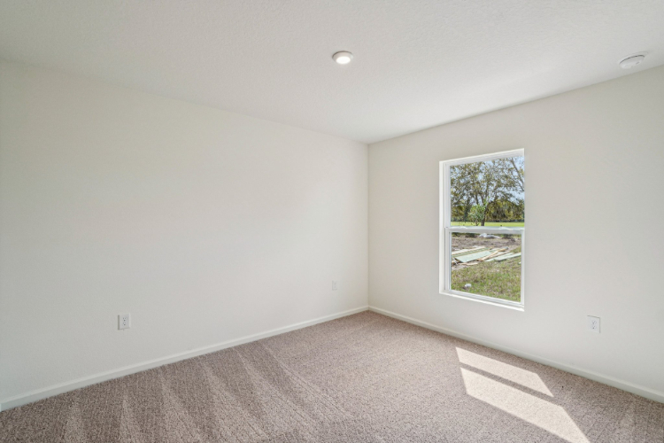 A room with a window and a carpet.