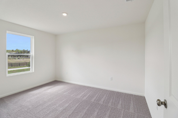 A room with a window and a rug.